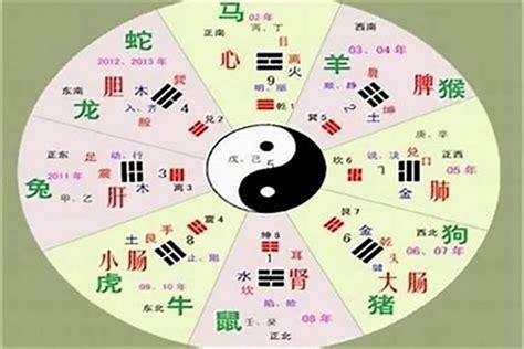 2021 五行|2021年五行数字，2021年各月份五行属性是什么？